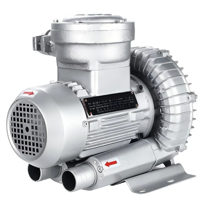 Low Noise Industrial Ex Proof Ring Blower high quality Low Noise Industrial Ex Proof Ring Blower high quality